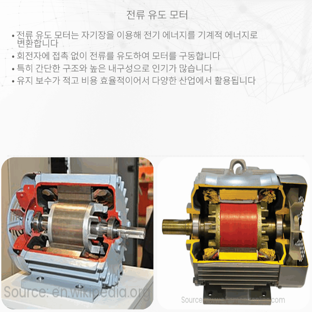 전류 유도 모터