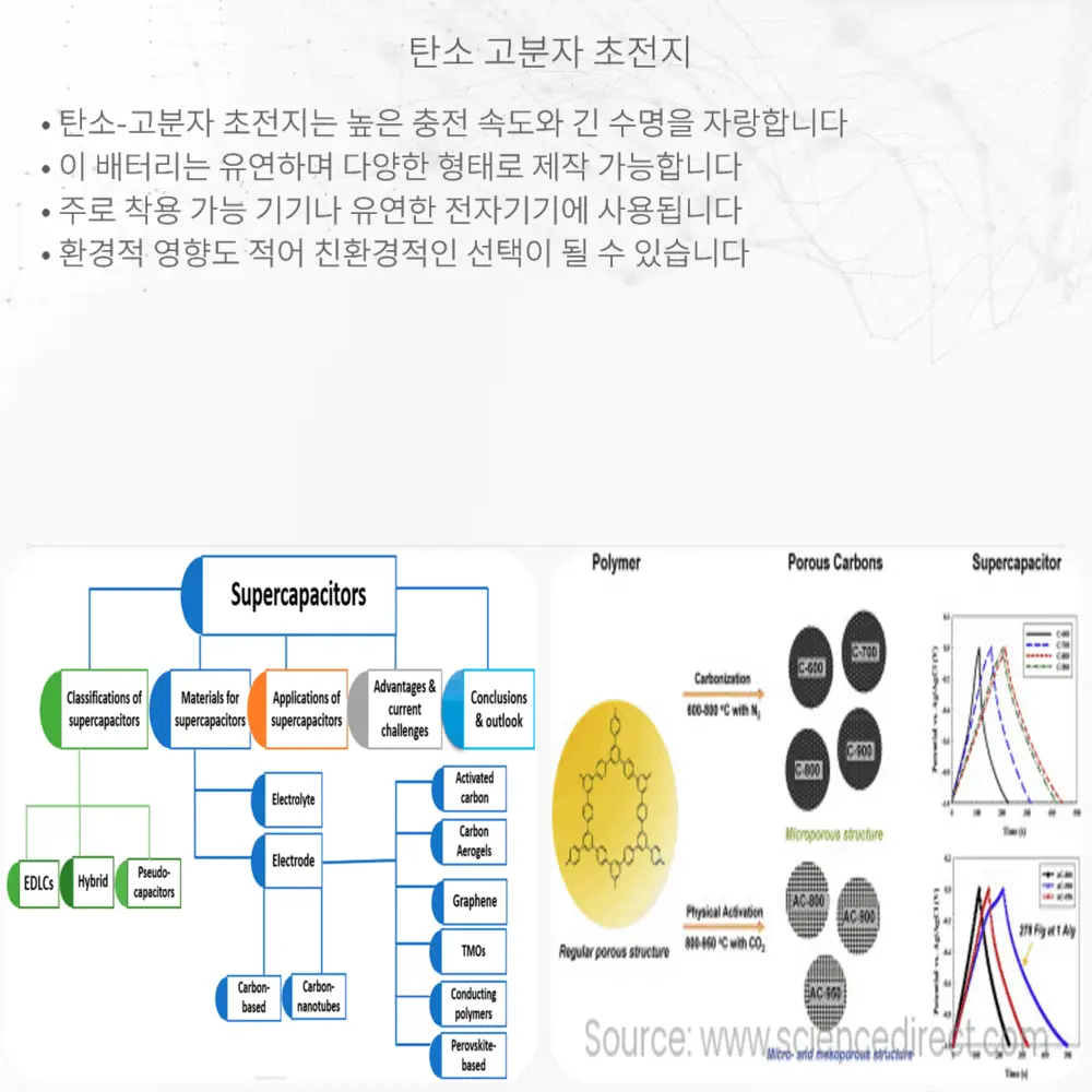 탄소-고분자 초전지