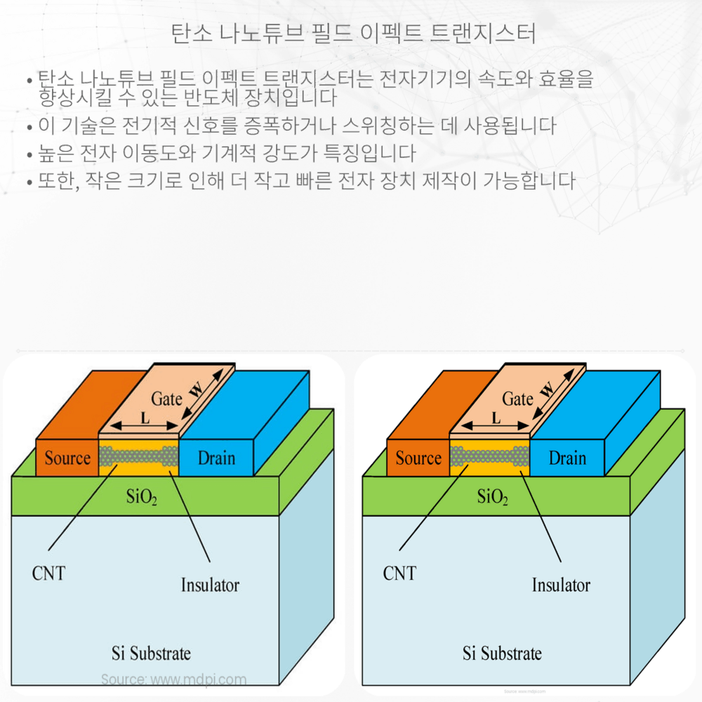 탄소 나노튜브 필드 이펙트 트랜지스터