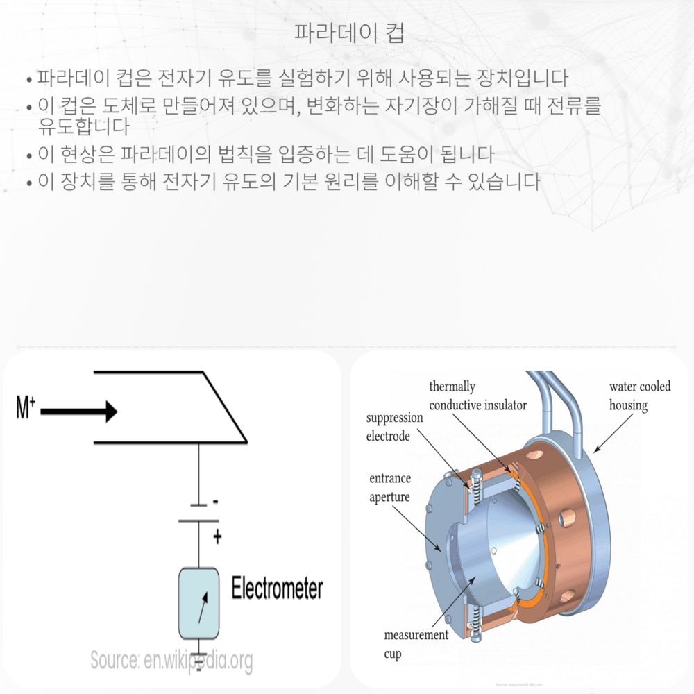 파라데이 컵