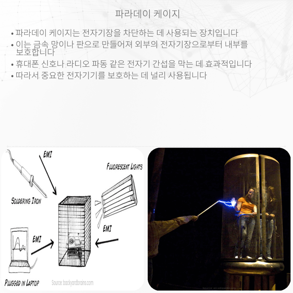 파라데이 케이지