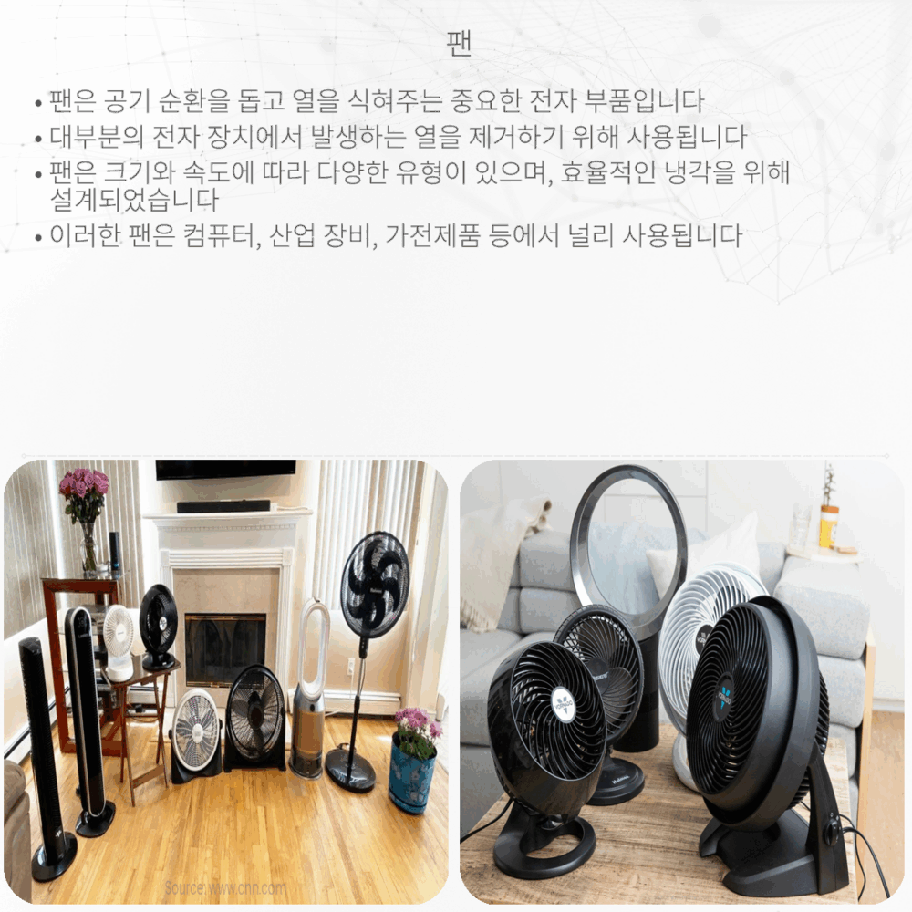 팬