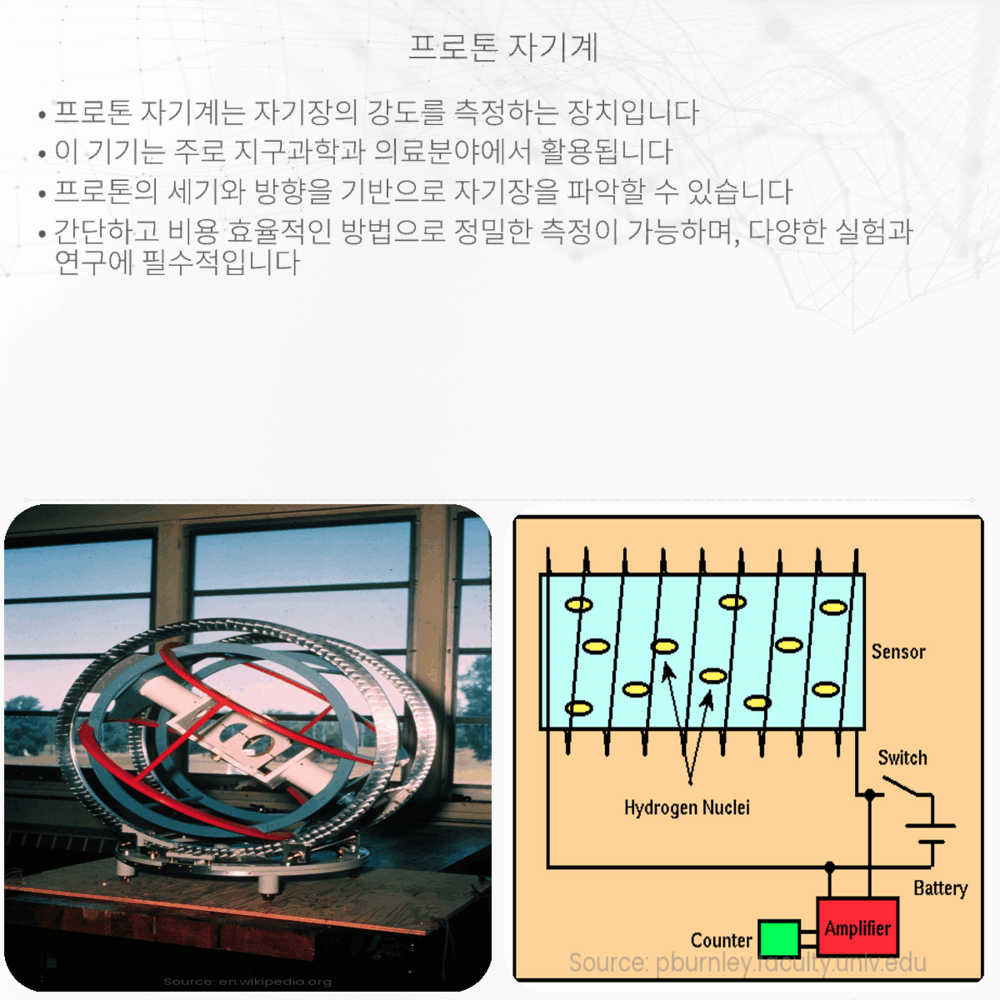 프로톤 자기계