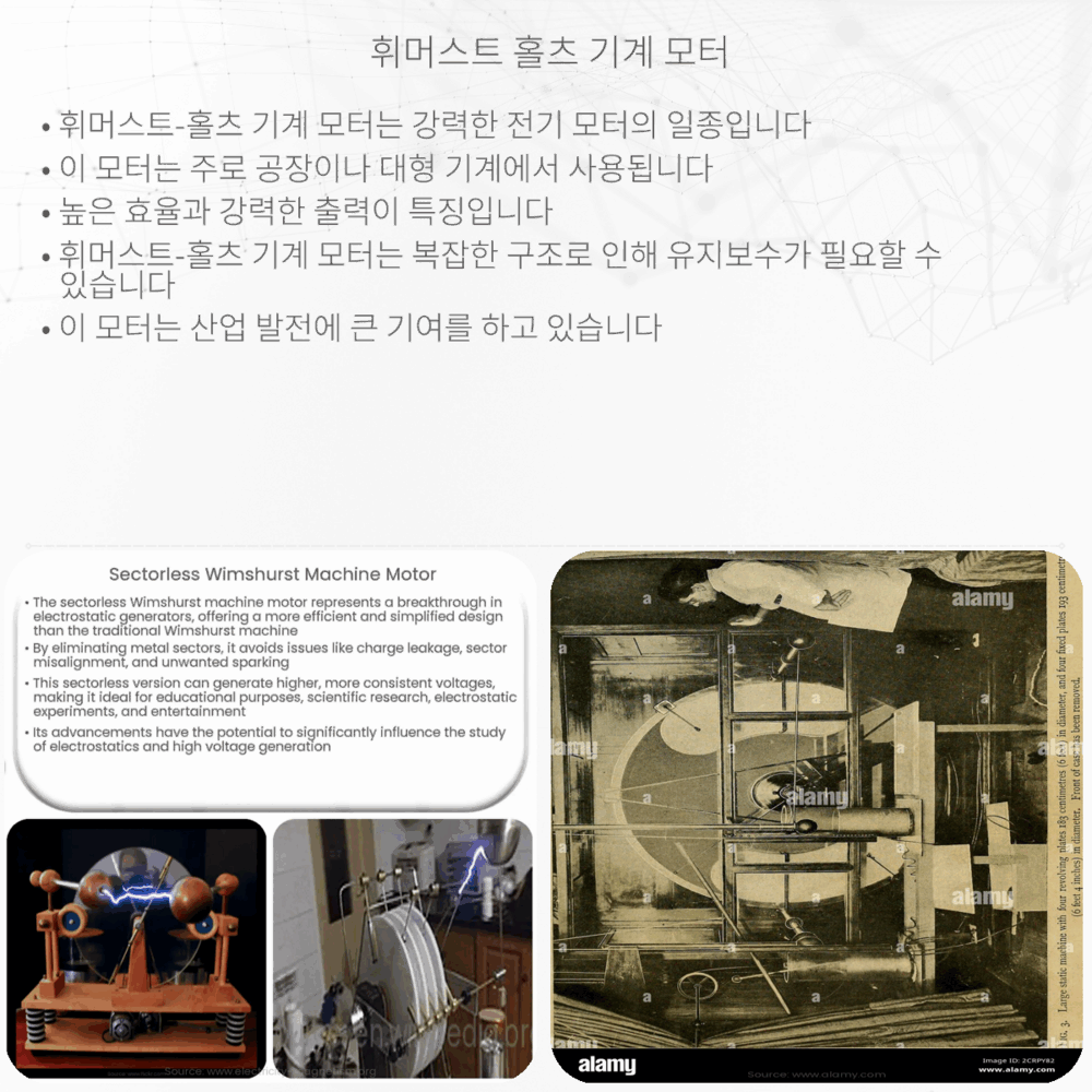 휘머스트-홀츠 기계 모터