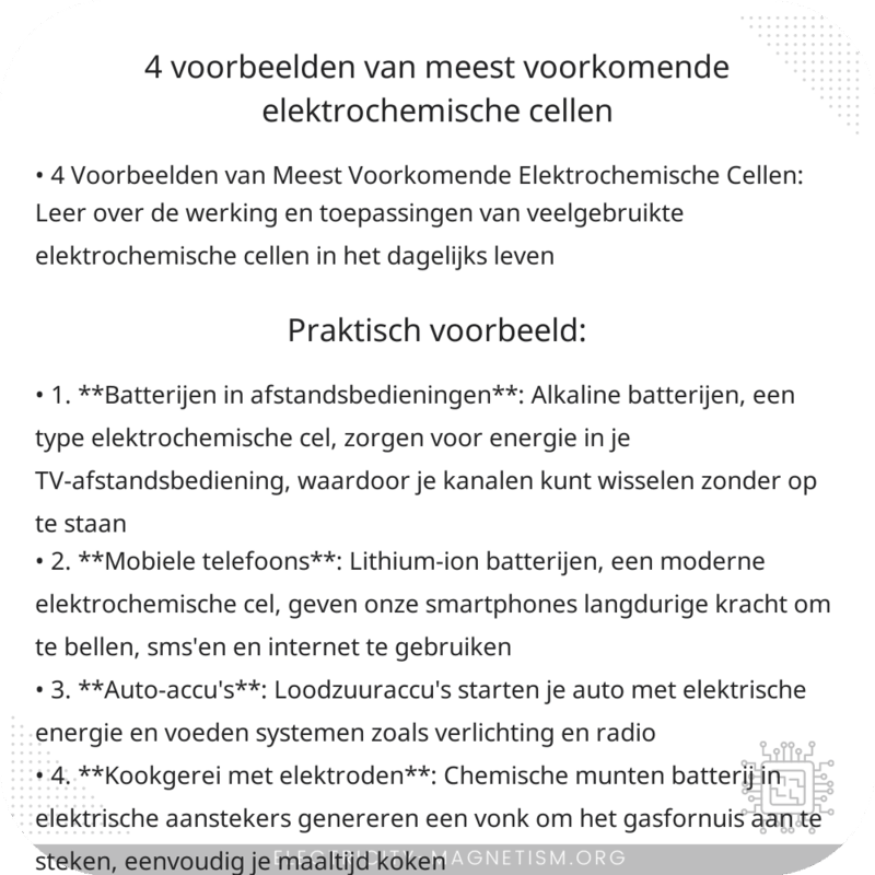 4 Voorbeelden van Meest Voorkomende Elektrochemische Cellen
