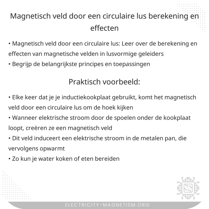Magnetisch Veld Door een Circulaire Lus | Berekening en Effecten