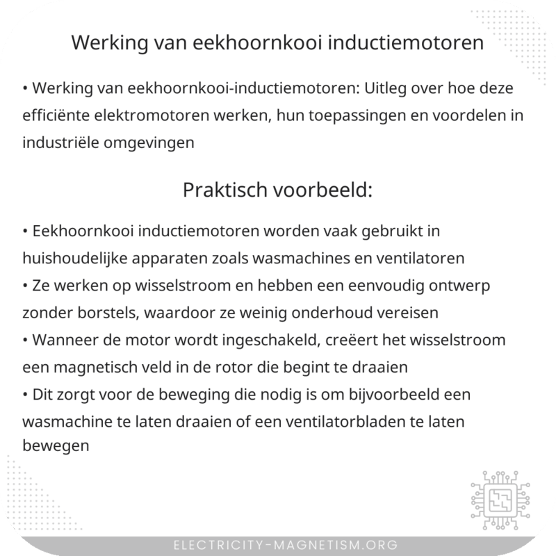 Werking van Eekhoornkooi Inductiemotoren
