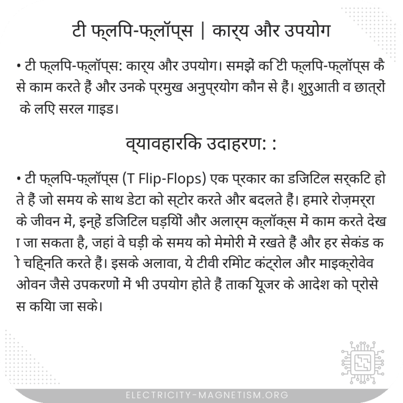 टी फ्लिप-फ्लॉप्स | कार्य और उपयोग