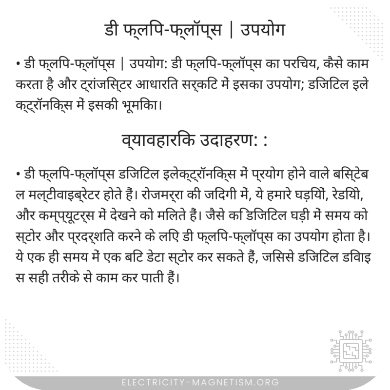 डी फ्लिप-फ्लॉप्स | उपयोग