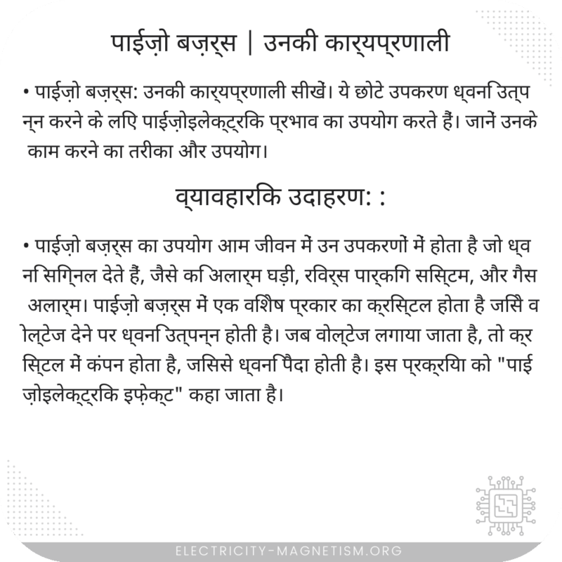पाईज़ो बज़र्स | उनकी कार्यप्रणाली