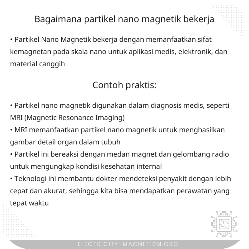 Bagaimana Partikel Nano Magnetik Bekerja?