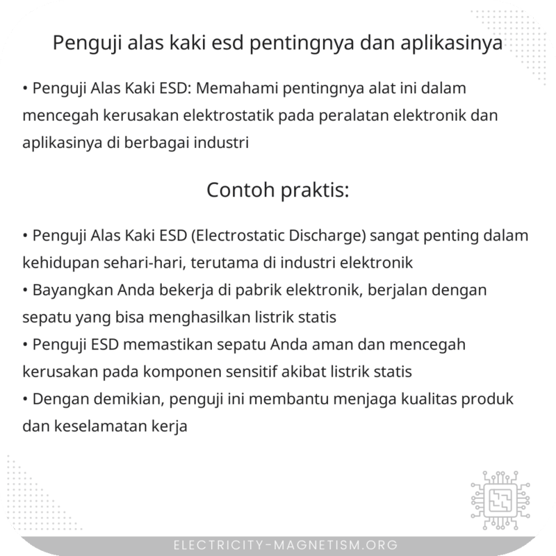 Penguji Alas Kaki ESD | Pentingnya dan Aplikasinya